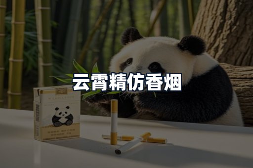 云霄精仿香烟